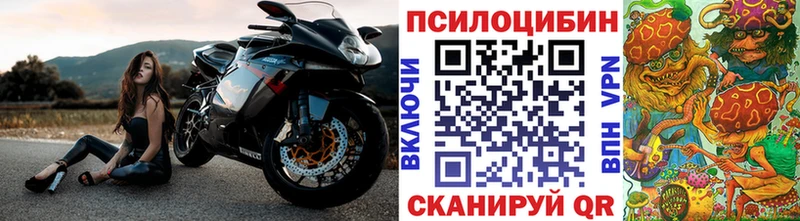 Псилоцибиновые грибы Psilocybe  Купить где  Шахты 